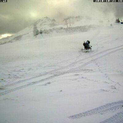 Der erste Wintergruß