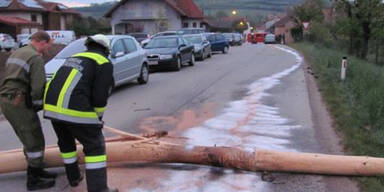 Auto kracht gegen umgesägten Maibaum