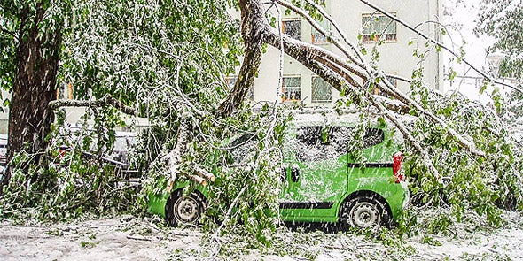 Todesopfer nach Wetter-Wahnsinn