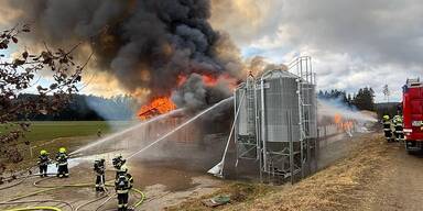 Tiersch&uuml;tzer fordern Brandschutz in St&auml;llen.