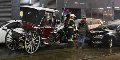 Fiaker gingen durch: Crash mit Pkw