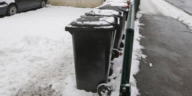 M&uuml;lltonne Findelkind