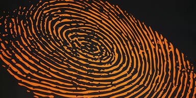 fingerprint