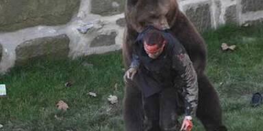 Hier attackiert der Bär Finn sein Opfer