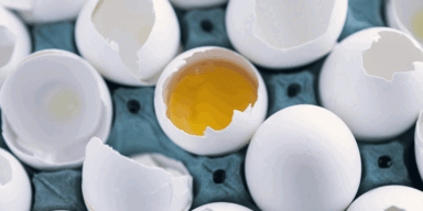 Fipronil: 80 Prozent der Proben nicht belastet