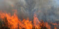 Starker Wind facht Waldbrand weiter an