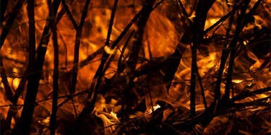 Jetzt kämpft die Nationalgarde in der Flammenhölle