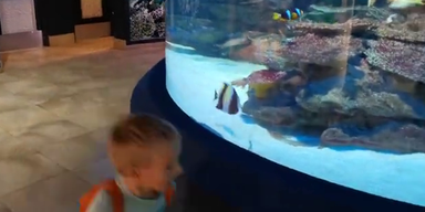 fisch.png