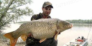 fisch