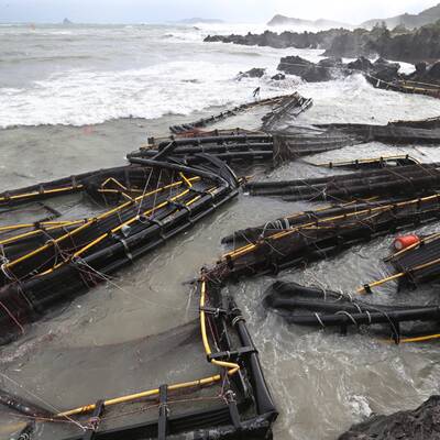 So wütet Taifun Neoguri