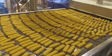 fischstäbchen 2.png