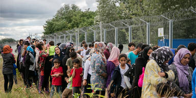 Diese Branche jubelt über Flüchtlinge