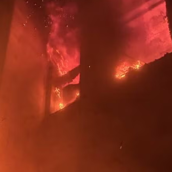 Flammen-Inferno in Wien: Frau und Hund gerettet