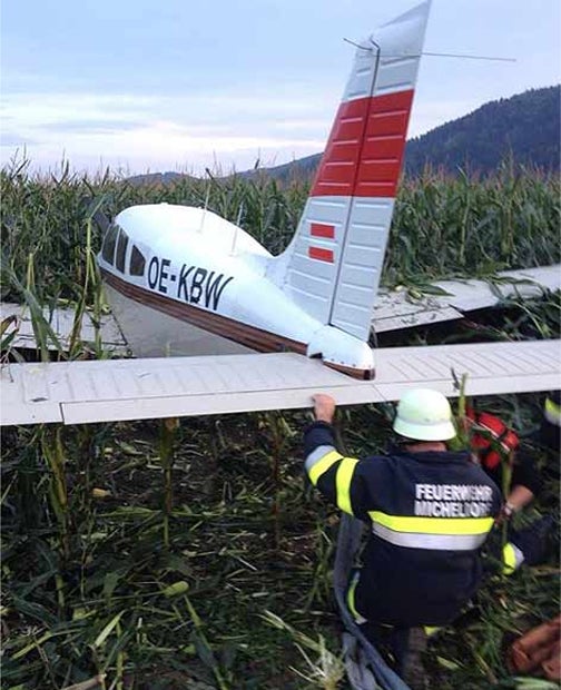 Motorfleugzeug landet im Maisfeld