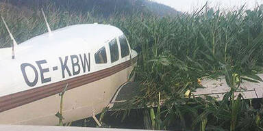 Motorfleugzeug landet im Maisfeld