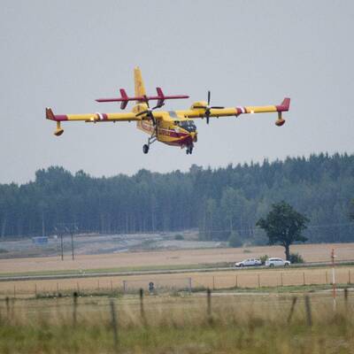 Größter Waldbrand aller Zeiten