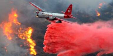 Arnie verhängt Notstand in Kalifornien