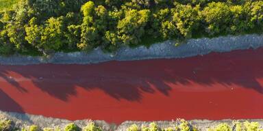 Blutroter Fluss beunruhigt Anrainer