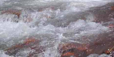 fluss