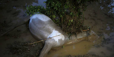 Zehn Tote bei Mega-Flut in Spanien