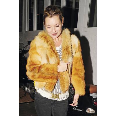 Die Moss im Pelz-Rausch 