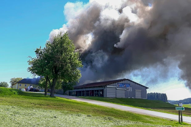 Bub (6) rettet Familie vor Flammen-Hölle