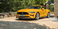 Jetzt startet der neue Ford Mustang