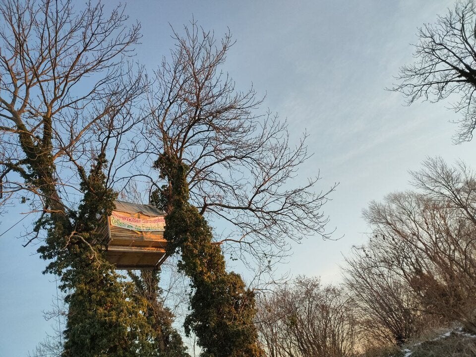 In der Fischau-Au errichteten Gegner·innen der Ostumfahrung ein Baumhaus.
