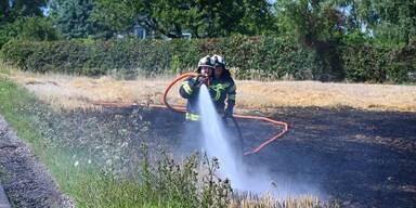 &Uuml;bungen f&uuml;r Br&auml;nde in der Landwirtschaft.
