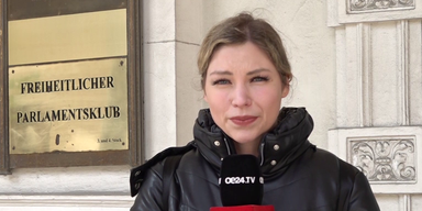 fpö verfassung as bianca.png
