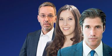 Wallentin oder noch Überraschung Steger?