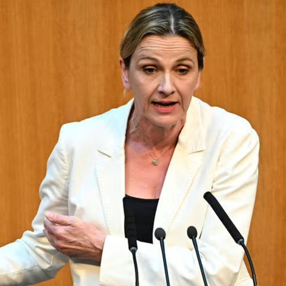 Sozialhilfe: FPÖ will Einschnitte, aber nicht für alle