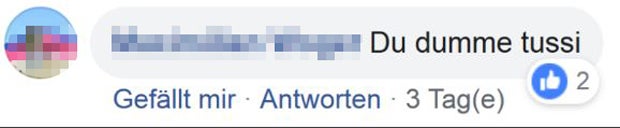 Skandal: FPÖ-Funktionär wünscht Grünen-Politikerin Vergewaltigung