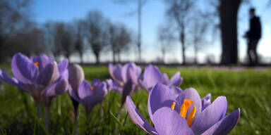 Jetzt kommt der Fr&uuml;hling