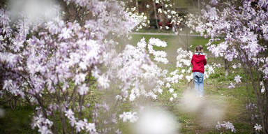 So wird das Wetter am Wochenende