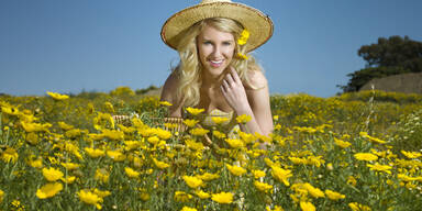 Fr&uuml;hling bringt uns viel Sonne