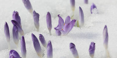 Ungemütlichster Frühling seit 69 Jahren