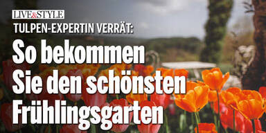 Tulpen-Expertin verrät: So bekommen Sie den schönsten Frühlingsgarten