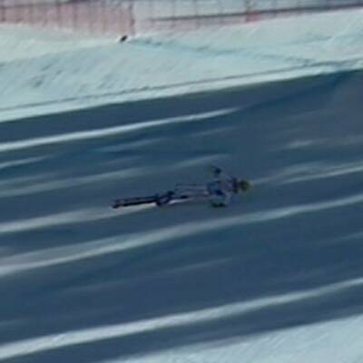 Horror-Sturz von Max Franz