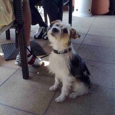 Die schönsten Urlaubsfotos