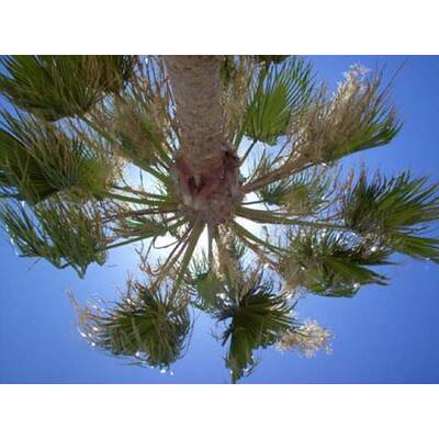 Die besten Urlaubsfotos