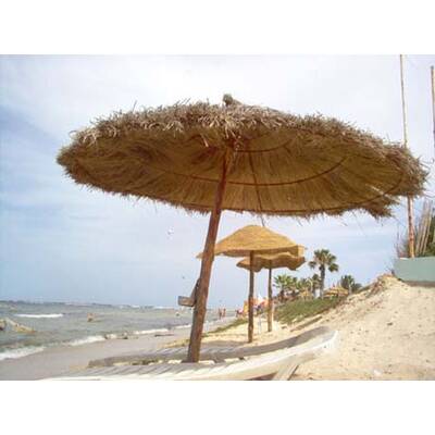 Die besten Urlaubsfotos