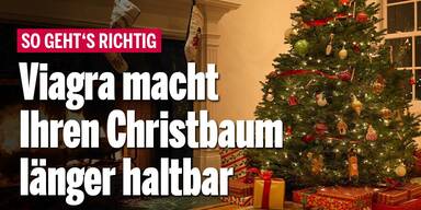 Viagra macht Ihren Christbaum länger haltbar - SO geht's richtig