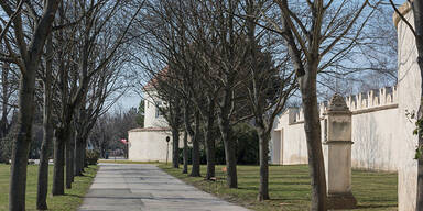 Erster Mensch-Tier-Friedhof in Wien er&ouml;ffnet