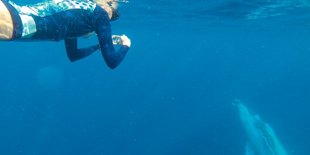 Nadine Friedrich Wale