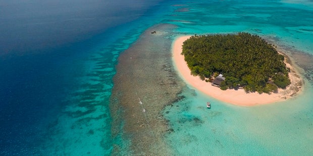 Nadine Friedrich Wale