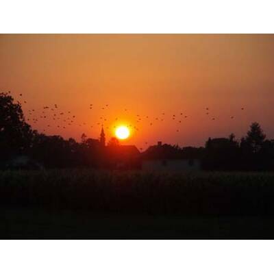 Die romantischsten Fotos