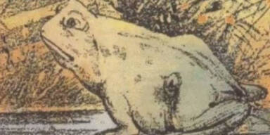 Welche zwei Tiere sind in diesem Bild?