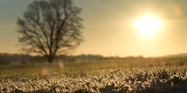 Das gro&szlig;e Zittern geht weiter