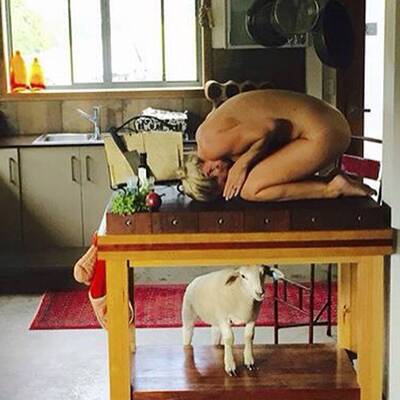 #frozenchook Challenge